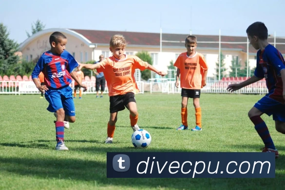 App 展示图